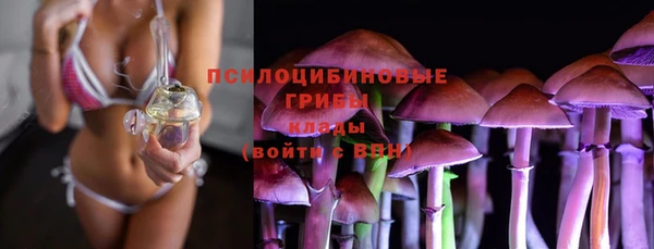 ПСИЛОЦИБИНОВЫЕ ГРИБЫ Арсеньев