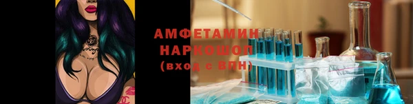 ПСИЛОЦИБИНОВЫЕ ГРИБЫ Арсеньев