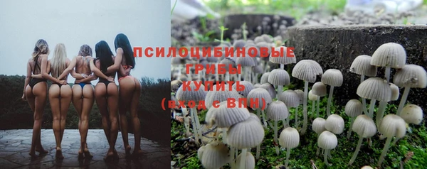 мет Аркадак