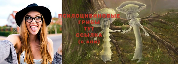 ПСИЛОЦИБИНОВЫЕ ГРИБЫ Арсеньев