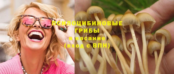 ПСИЛОЦИБИНОВЫЕ ГРИБЫ Арсеньев